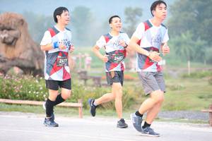 BIB: 2483, 2417
                            <button type="button" onclick="openModal(6353322)" class="btn btn-primary btn-sm float-right btn-popup" data-toggle="modal" data-target=".modal-high-quality">
                        <i class="fas fa-shopping-cart"></i> Add to Cart
                    </button>
                                            <button type="button" onclick="isThisMe(6353322, true)" class="btn btn-success btn-sm float-right btn-popup btn-isme hidden" data-toggle="tooltip" data-placement="bottom" title="นี่คือรูปของคุณใช่ไหม คลิกที่นี่เพื่อเอาเข้าอัลบั้ม">
                        <i class="fas fa-plus"></i> Add to album
                    </button>
                    <button type="button" onclick="isThisMe(6353322, false)" class="btn btn-warning btn-sm float-right btn-popup btn-isnotme hidden">
                        <i class="fas fa-ban"></i> Remove from album
                    </button>