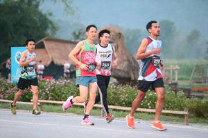 BIB: 272, 2422, 2513, 2472
                            <button type="button" onclick="openModal(6345099)" class="btn btn-primary btn-sm float-right btn-popup" data-toggle="modal" data-target=".modal-high-quality">
                        <i class="fas fa-shopping-cart"></i> Add to Cart
                    </button>
                                            <button type="button" onclick="isThisMe(6345099, true)" class="btn btn-success btn-sm float-right btn-popup btn-isme hidden" data-toggle="tooltip" data-placement="bottom" title="นี่คือรูปของคุณใช่ไหม คลิกที่นี่เพื่อเอาเข้าอัลบั้ม">
                        <i class="fas fa-plus"></i> Add to album
                    </button>
                    <button type="button" onclick="isThisMe(6345099, false)" class="btn btn-warning btn-sm float-right btn-popup btn-isnotme hidden">
                        <i class="fas fa-ban"></i> Remove from album
                    </button>