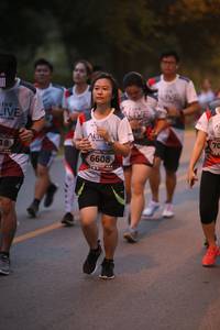 BIB: 6608
                            <button type="button" onclick="openModal(6365219)" class="btn btn-primary btn-sm float-right btn-popup" data-toggle="modal" data-target=".modal-high-quality">
                        <i class="fas fa-shopping-cart"></i> Add to Cart
                    </button>
                                            <button type="button" onclick="isThisMe(6365219, true)" class="btn btn-success btn-sm float-right btn-popup btn-isme hidden" data-toggle="tooltip" data-placement="bottom" title="นี่คือรูปของคุณใช่ไหม คลิกที่นี่เพื่อเอาเข้าอัลบั้ม">
                        <i class="fas fa-plus"></i> Add to album
                    </button>
                    <button type="button" onclick="isThisMe(6365219, false)" class="btn btn-warning btn-sm float-right btn-popup btn-isnotme hidden">
                        <i class="fas fa-ban"></i> Remove from album
                    </button>