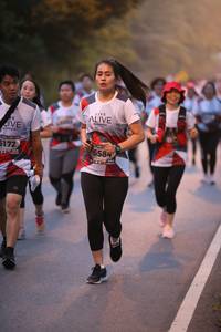 BIB: 5172, 6584
                            <button type="button" onclick="openModal(6365405)" class="btn btn-primary btn-sm float-right btn-popup" data-toggle="modal" data-target=".modal-high-quality">
                        <i class="fas fa-shopping-cart"></i> Add to Cart
                    </button>
                                            <button type="button" onclick="isThisMe(6365405, true)" class="btn btn-success btn-sm float-right btn-popup btn-isme hidden" data-toggle="tooltip" data-placement="bottom" title="นี่คือรูปของคุณใช่ไหม คลิกที่นี่เพื่อเอาเข้าอัลบั้ม">
                        <i class="fas fa-plus"></i> Add to album
                    </button>
                    <button type="button" onclick="isThisMe(6365405, false)" class="btn btn-warning btn-sm float-right btn-popup btn-isnotme hidden">
                        <i class="fas fa-ban"></i> Remove from album
                    </button>