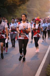 BIB: 6584
                            <button type="button" onclick="openModal(6365412)" class="btn btn-primary btn-sm float-right btn-popup" data-toggle="modal" data-target=".modal-high-quality">
                        <i class="fas fa-shopping-cart"></i> Add to Cart
                    </button>
                                            <button type="button" onclick="isThisMe(6365412, true)" class="btn btn-success btn-sm float-right btn-popup btn-isme hidden" data-toggle="tooltip" data-placement="bottom" title="นี่คือรูปของคุณใช่ไหม คลิกที่นี่เพื่อเอาเข้าอัลบั้ม">
                        <i class="fas fa-plus"></i> Add to album
                    </button>
                    <button type="button" onclick="isThisMe(6365412, false)" class="btn btn-warning btn-sm float-right btn-popup btn-isnotme hidden">
                        <i class="fas fa-ban"></i> Remove from album
                    </button>