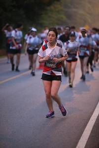 BIB: 7066
                            <button type="button" onclick="openModal(6365302)" class="btn btn-primary btn-sm float-right btn-popup" data-toggle="modal" data-target=".modal-high-quality">
                        <i class="fas fa-shopping-cart"></i> Add to Cart
                    </button>
                                            <button type="button" onclick="isThisMe(6365302, true)" class="btn btn-success btn-sm float-right btn-popup btn-isme hidden" data-toggle="tooltip" data-placement="bottom" title="นี่คือรูปของคุณใช่ไหม คลิกที่นี่เพื่อเอาเข้าอัลบั้ม">
                        <i class="fas fa-plus"></i> Add to album
                    </button>
                    <button type="button" onclick="isThisMe(6365302, false)" class="btn btn-warning btn-sm float-right btn-popup btn-isnotme hidden">
                        <i class="fas fa-ban"></i> Remove from album
                    </button>