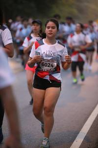 BIB: 6024
                            <button type="button" onclick="openModal(6365453)" class="btn btn-primary btn-sm float-right btn-popup" data-toggle="modal" data-target=".modal-high-quality">
                        <i class="fas fa-shopping-cart"></i> Add to Cart
                    </button>
                                            <button type="button" onclick="isThisMe(6365453, true)" class="btn btn-success btn-sm float-right btn-popup btn-isme hidden" data-toggle="tooltip" data-placement="bottom" title="นี่คือรูปของคุณใช่ไหม คลิกที่นี่เพื่อเอาเข้าอัลบั้ม">
                        <i class="fas fa-plus"></i> Add to album
                    </button>
                    <button type="button" onclick="isThisMe(6365453, false)" class="btn btn-warning btn-sm float-right btn-popup btn-isnotme hidden">
                        <i class="fas fa-ban"></i> Remove from album
                    </button>