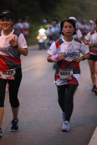 BIB: 6891, 6537
                            <button type="button" onclick="openModal(6365275)" class="btn btn-primary btn-sm float-right btn-popup" data-toggle="modal" data-target=".modal-high-quality">
                        <i class="fas fa-shopping-cart"></i> Add to Cart
                    </button>
                                            <button type="button" onclick="isThisMe(6365275, true)" class="btn btn-success btn-sm float-right btn-popup btn-isme hidden" data-toggle="tooltip" data-placement="bottom" title="นี่คือรูปของคุณใช่ไหม คลิกที่นี่เพื่อเอาเข้าอัลบั้ม">
                        <i class="fas fa-plus"></i> Add to album
                    </button>
                    <button type="button" onclick="isThisMe(6365275, false)" class="btn btn-warning btn-sm float-right btn-popup btn-isnotme hidden">
                        <i class="fas fa-ban"></i> Remove from album
                    </button>