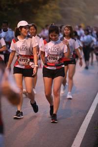 BIB: 6784, 6777
                            <button type="button" onclick="openModal(6365291)" class="btn btn-primary btn-sm float-right btn-popup" data-toggle="modal" data-target=".modal-high-quality">
                        <i class="fas fa-shopping-cart"></i> Add to Cart
                    </button>
                                            <button type="button" onclick="isThisMe(6365291, true)" class="btn btn-success btn-sm float-right btn-popup btn-isme hidden" data-toggle="tooltip" data-placement="bottom" title="นี่คือรูปของคุณใช่ไหม คลิกที่นี่เพื่อเอาเข้าอัลบั้ม">
                        <i class="fas fa-plus"></i> Add to album
                    </button>
                    <button type="button" onclick="isThisMe(6365291, false)" class="btn btn-warning btn-sm float-right btn-popup btn-isnotme hidden">
                        <i class="fas fa-ban"></i> Remove from album
                    </button>