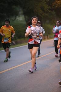 BIB: 6021, 6706
                            <button type="button" onclick="openModal(6365499)" class="btn btn-primary btn-sm float-right btn-popup" data-toggle="modal" data-target=".modal-high-quality">
                        <i class="fas fa-shopping-cart"></i> Add to Cart
                    </button>
                                            <button type="button" onclick="isThisMe(6365499, true)" class="btn btn-success btn-sm float-right btn-popup btn-isme hidden" data-toggle="tooltip" data-placement="bottom" title="นี่คือรูปของคุณใช่ไหม คลิกที่นี่เพื่อเอาเข้าอัลบั้ม">
                        <i class="fas fa-plus"></i> Add to album
                    </button>
                    <button type="button" onclick="isThisMe(6365499, false)" class="btn btn-warning btn-sm float-right btn-popup btn-isnotme hidden">
                        <i class="fas fa-ban"></i> Remove from album
                    </button>