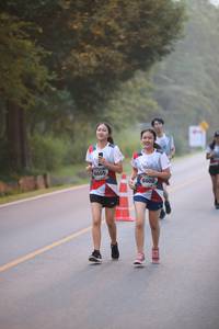 BIB: 6605, 6606
                            <button type="button" onclick="openModal(6364007)" class="btn btn-primary btn-sm float-right btn-popup" data-toggle="modal" data-target=".modal-high-quality">
                        <i class="fas fa-shopping-cart"></i> Add to Cart
                    </button>
                                            <button type="button" onclick="isThisMe(6364007, true)" class="btn btn-success btn-sm float-right btn-popup btn-isme hidden" data-toggle="tooltip" data-placement="bottom" title="นี่คือรูปของคุณใช่ไหม คลิกที่นี่เพื่อเอาเข้าอัลบั้ม">
                        <i class="fas fa-plus"></i> Add to album
                    </button>
                    <button type="button" onclick="isThisMe(6364007, false)" class="btn btn-warning btn-sm float-right btn-popup btn-isnotme hidden">
                        <i class="fas fa-ban"></i> Remove from album
                    </button>