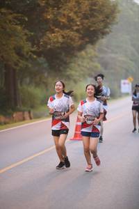 BIB: 6605, 6606
                            <button type="button" onclick="openModal(6364003)" class="btn btn-primary btn-sm float-right btn-popup" data-toggle="modal" data-target=".modal-high-quality">
                        <i class="fas fa-shopping-cart"></i> Add to Cart
                    </button>
                                            <button type="button" onclick="isThisMe(6364003, true)" class="btn btn-success btn-sm float-right btn-popup btn-isme hidden" data-toggle="tooltip" data-placement="bottom" title="นี่คือรูปของคุณใช่ไหม คลิกที่นี่เพื่อเอาเข้าอัลบั้ม">
                        <i class="fas fa-plus"></i> Add to album
                    </button>
                    <button type="button" onclick="isThisMe(6364003, false)" class="btn btn-warning btn-sm float-right btn-popup btn-isnotme hidden">
                        <i class="fas fa-ban"></i> Remove from album
                    </button>