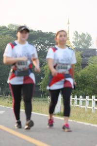 BIB: 
                            <button type="button" onclick="openModal(6347588)" class="btn btn-primary btn-sm float-right btn-popup" data-toggle="modal" data-target=".modal-high-quality">
                        <i class="fas fa-shopping-cart"></i> Add to Cart
                    </button>
                                            <button type="button" onclick="isThisMe(6347588, true)" class="btn btn-success btn-sm float-right btn-popup btn-isme hidden" data-toggle="tooltip" data-placement="bottom" title="นี่คือรูปของคุณใช่ไหม คลิกที่นี่เพื่อเอาเข้าอัลบั้ม">
                        <i class="fas fa-plus"></i> Add to album
                    </button>
                    <button type="button" onclick="isThisMe(6347588, false)" class="btn btn-warning btn-sm float-right btn-popup btn-isnotme hidden">
                        <i class="fas fa-ban"></i> Remove from album
                    </button>