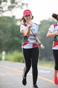 BIB: 7088
                            <button type="button" onclick="openModal(6349886)" class="btn btn-primary btn-sm float-right btn-popup" data-toggle="modal" data-target=".modal-high-quality">
                        <i class="fas fa-shopping-cart"></i> Add to Cart
                    </button>
                                            <button type="button" onclick="isThisMe(6349886, true)" class="btn btn-success btn-sm float-right btn-popup btn-isme hidden" data-toggle="tooltip" data-placement="bottom" title="นี่คือรูปของคุณใช่ไหม คลิกที่นี่เพื่อเอาเข้าอัลบั้ม">
                        <i class="fas fa-plus"></i> Add to album
                    </button>
                    <button type="button" onclick="isThisMe(6349886, false)" class="btn btn-warning btn-sm float-right btn-popup btn-isnotme hidden">
                        <i class="fas fa-ban"></i> Remove from album
                    </button>