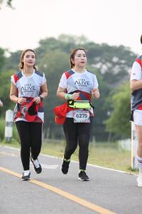 BIB: 6279
                            <button type="button" onclick="openModal(6350144)" class="btn btn-primary btn-sm float-right btn-popup" data-toggle="modal" data-target=".modal-high-quality">
                        <i class="fas fa-shopping-cart"></i> Add to Cart
                    </button>
                                            <button type="button" onclick="isThisMe(6350144, true)" class="btn btn-success btn-sm float-right btn-popup btn-isme hidden" data-toggle="tooltip" data-placement="bottom" title="นี่คือรูปของคุณใช่ไหม คลิกที่นี่เพื่อเอาเข้าอัลบั้ม">
                        <i class="fas fa-plus"></i> Add to album
                    </button>
                    <button type="button" onclick="isThisMe(6350144, false)" class="btn btn-warning btn-sm float-right btn-popup btn-isnotme hidden">
                        <i class="fas fa-ban"></i> Remove from album
                    </button>