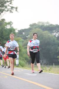 BIB: 6903, 6958
                            <button type="button" onclick="openModal(6349900)" class="btn btn-primary btn-sm float-right btn-popup" data-toggle="modal" data-target=".modal-high-quality">
                        <i class="fas fa-shopping-cart"></i> Add to Cart
                    </button>
                                            <button type="button" onclick="isThisMe(6349900, true)" class="btn btn-success btn-sm float-right btn-popup btn-isme hidden" data-toggle="tooltip" data-placement="bottom" title="นี่คือรูปของคุณใช่ไหม คลิกที่นี่เพื่อเอาเข้าอัลบั้ม">
                        <i class="fas fa-plus"></i> Add to album
                    </button>
                    <button type="button" onclick="isThisMe(6349900, false)" class="btn btn-warning btn-sm float-right btn-popup btn-isnotme hidden">
                        <i class="fas fa-ban"></i> Remove from album
                    </button>