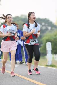 BIB: 206, 6560
                            <button type="button" onclick="openModal(6349627)" class="btn btn-primary btn-sm float-right btn-popup" data-toggle="modal" data-target=".modal-high-quality">
                        <i class="fas fa-shopping-cart"></i> Add to Cart
                    </button>
                                            <button type="button" onclick="isThisMe(6349627, true)" class="btn btn-success btn-sm float-right btn-popup btn-isme hidden" data-toggle="tooltip" data-placement="bottom" title="นี่คือรูปของคุณใช่ไหม คลิกที่นี่เพื่อเอาเข้าอัลบั้ม">
                        <i class="fas fa-plus"></i> Add to album
                    </button>
                    <button type="button" onclick="isThisMe(6349627, false)" class="btn btn-warning btn-sm float-right btn-popup btn-isnotme hidden">
                        <i class="fas fa-ban"></i> Remove from album
                    </button>