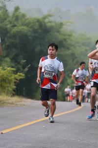 BIB: 6733
                            <button type="button" onclick="openModal(6355090)" class="btn btn-primary btn-sm float-right btn-popup" data-toggle="modal" data-target=".modal-high-quality">
                        <i class="fas fa-shopping-cart"></i> Add to Cart
                    </button>
                                            <button type="button" onclick="isThisMe(6355090, true)" class="btn btn-success btn-sm float-right btn-popup btn-isme hidden" data-toggle="tooltip" data-placement="bottom" title="นี่คือรูปของคุณใช่ไหม คลิกที่นี่เพื่อเอาเข้าอัลบั้ม">
                        <i class="fas fa-plus"></i> Add to album
                    </button>
                    <button type="button" onclick="isThisMe(6355090, false)" class="btn btn-warning btn-sm float-right btn-popup btn-isnotme hidden">
                        <i class="fas fa-ban"></i> Remove from album
                    </button>