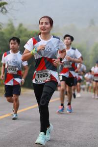 BIB: 6733, 7065
                            <button type="button" onclick="openModal(6355094)" class="btn btn-primary btn-sm float-right btn-popup" data-toggle="modal" data-target=".modal-high-quality">
                        <i class="fas fa-shopping-cart"></i> Add to Cart
                    </button>
                                            <button type="button" onclick="isThisMe(6355094, true)" class="btn btn-success btn-sm float-right btn-popup btn-isme hidden" data-toggle="tooltip" data-placement="bottom" title="นี่คือรูปของคุณใช่ไหม คลิกที่นี่เพื่อเอาเข้าอัลบั้ม">
                        <i class="fas fa-plus"></i> Add to album
                    </button>
                    <button type="button" onclick="isThisMe(6355094, false)" class="btn btn-warning btn-sm float-right btn-popup btn-isnotme hidden">
                        <i class="fas fa-ban"></i> Remove from album
                    </button>