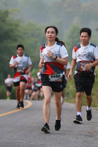 BIB: 6480
                            <button type="button" onclick="openModal(6354930)" class="btn btn-primary btn-sm float-right btn-popup" data-toggle="modal" data-target=".modal-high-quality">
                        <i class="fas fa-shopping-cart"></i> Add to Cart
                    </button>
                                            <button type="button" onclick="isThisMe(6354930, true)" class="btn btn-success btn-sm float-right btn-popup btn-isme hidden" data-toggle="tooltip" data-placement="bottom" title="นี่คือรูปของคุณใช่ไหม คลิกที่นี่เพื่อเอาเข้าอัลบั้ม">
                        <i class="fas fa-plus"></i> Add to album
                    </button>
                    <button type="button" onclick="isThisMe(6354930, false)" class="btn btn-warning btn-sm float-right btn-popup btn-isnotme hidden">
                        <i class="fas fa-ban"></i> Remove from album
                    </button>