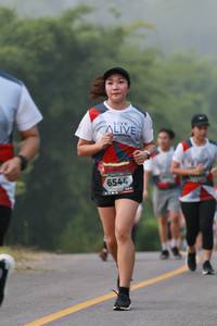 BIB: 6544
                            <button type="button" onclick="openModal(6355702)" class="btn btn-primary btn-sm float-right btn-popup" data-toggle="modal" data-target=".modal-high-quality">
                        <i class="fas fa-shopping-cart"></i> Add to Cart
                    </button>
                                            <button type="button" onclick="isThisMe(6355702, true)" class="btn btn-success btn-sm float-right btn-popup btn-isme hidden" data-toggle="tooltip" data-placement="bottom" title="นี่คือรูปของคุณใช่ไหม คลิกที่นี่เพื่อเอาเข้าอัลบั้ม">
                        <i class="fas fa-plus"></i> Add to album
                    </button>
                    <button type="button" onclick="isThisMe(6355702, false)" class="btn btn-warning btn-sm float-right btn-popup btn-isnotme hidden">
                        <i class="fas fa-ban"></i> Remove from album
                    </button>