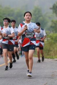 BIB: 6947
                            <button type="button" onclick="openModal(6355588)" class="btn btn-primary btn-sm float-right btn-popup" data-toggle="modal" data-target=".modal-high-quality">
                        <i class="fas fa-shopping-cart"></i> Add to Cart
                    </button>
                                            <button type="button" onclick="isThisMe(6355588, true)" class="btn btn-success btn-sm float-right btn-popup btn-isme hidden" data-toggle="tooltip" data-placement="bottom" title="นี่คือรูปของคุณใช่ไหม คลิกที่นี่เพื่อเอาเข้าอัลบั้ม">
                        <i class="fas fa-plus"></i> Add to album
                    </button>
                    <button type="button" onclick="isThisMe(6355588, false)" class="btn btn-warning btn-sm float-right btn-popup btn-isnotme hidden">
                        <i class="fas fa-ban"></i> Remove from album
                    </button>