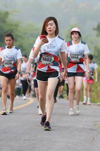 BIB: 6546, 6602, 6634
                            <button type="button" onclick="openModal(6356452)" class="btn btn-primary btn-sm float-right btn-popup" data-toggle="modal" data-target=".modal-high-quality">
                        <i class="fas fa-shopping-cart"></i> Add to Cart
                    </button>
                                            <button type="button" onclick="isThisMe(6356452, true)" class="btn btn-success btn-sm float-right btn-popup btn-isme hidden" data-toggle="tooltip" data-placement="bottom" title="นี่คือรูปของคุณใช่ไหม คลิกที่นี่เพื่อเอาเข้าอัลบั้ม">
                        <i class="fas fa-plus"></i> Add to album
                    </button>
                    <button type="button" onclick="isThisMe(6356452, false)" class="btn btn-warning btn-sm float-right btn-popup btn-isnotme hidden">
                        <i class="fas fa-ban"></i> Remove from album
                    </button>