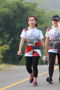 BIB: 6533, 6566
                            <button type="button" onclick="openModal(6357727)" class="btn btn-primary btn-sm float-right btn-popup" data-toggle="modal" data-target=".modal-high-quality">
                        <i class="fas fa-shopping-cart"></i> Add to Cart
                    </button>
                                            <button type="button" onclick="isThisMe(6357727, true)" class="btn btn-success btn-sm float-right btn-popup btn-isme hidden" data-toggle="tooltip" data-placement="bottom" title="นี่คือรูปของคุณใช่ไหม คลิกที่นี่เพื่อเอาเข้าอัลบั้ม">
                        <i class="fas fa-plus"></i> Add to album
                    </button>
                    <button type="button" onclick="isThisMe(6357727, false)" class="btn btn-warning btn-sm float-right btn-popup btn-isnotme hidden">
                        <i class="fas fa-ban"></i> Remove from album
                    </button>