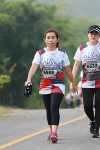 BIB: 6533, 6566
                            <button type="button" onclick="openModal(6357725)" class="btn btn-primary btn-sm float-right btn-popup" data-toggle="modal" data-target=".modal-high-quality">
                        <i class="fas fa-shopping-cart"></i> Add to Cart
                    </button>
                                            <button type="button" onclick="isThisMe(6357725, true)" class="btn btn-success btn-sm float-right btn-popup btn-isme hidden" data-toggle="tooltip" data-placement="bottom" title="นี่คือรูปของคุณใช่ไหม คลิกที่นี่เพื่อเอาเข้าอัลบั้ม">
                        <i class="fas fa-plus"></i> Add to album
                    </button>
                    <button type="button" onclick="isThisMe(6357725, false)" class="btn btn-warning btn-sm float-right btn-popup btn-isnotme hidden">
                        <i class="fas fa-ban"></i> Remove from album
                    </button>