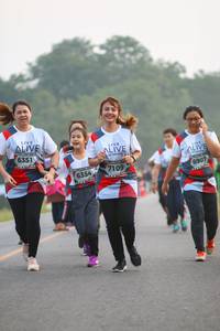 BIB: 6351, 7109, 6907, 6354
                            <button type="button" onclick="openModal(6353026)" class="btn btn-primary btn-sm float-right btn-popup" data-toggle="modal" data-target=".modal-high-quality">
                        <i class="fas fa-shopping-cart"></i> Add to Cart
                    </button>
                                            <button type="button" onclick="isThisMe(6353026, true)" class="btn btn-success btn-sm float-right btn-popup btn-isme hidden" data-toggle="tooltip" data-placement="bottom" title="นี่คือรูปของคุณใช่ไหม คลิกที่นี่เพื่อเอาเข้าอัลบั้ม">
                        <i class="fas fa-plus"></i> Add to album
                    </button>
                    <button type="button" onclick="isThisMe(6353026, false)" class="btn btn-warning btn-sm float-right btn-popup btn-isnotme hidden">
                        <i class="fas fa-ban"></i> Remove from album
                    </button>