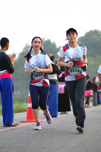 BIB: 6114, 6934
                            <button type="button" onclick="openModal(6351490)" class="btn btn-primary btn-sm float-right btn-popup" data-toggle="modal" data-target=".modal-high-quality">
                        <i class="fas fa-shopping-cart"></i> Add to Cart
                    </button>
                                            <button type="button" onclick="isThisMe(6351490, true)" class="btn btn-success btn-sm float-right btn-popup btn-isme hidden" data-toggle="tooltip" data-placement="bottom" title="นี่คือรูปของคุณใช่ไหม คลิกที่นี่เพื่อเอาเข้าอัลบั้ม">
                        <i class="fas fa-plus"></i> Add to album
                    </button>
                    <button type="button" onclick="isThisMe(6351490, false)" class="btn btn-warning btn-sm float-right btn-popup btn-isnotme hidden">
                        <i class="fas fa-ban"></i> Remove from album
                    </button>