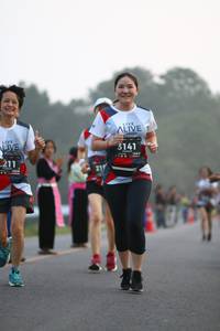 BIB: 3141, 211
                            <button type="button" onclick="openModal(6346635)" class="btn btn-primary btn-sm float-right btn-popup" data-toggle="modal" data-target=".modal-high-quality">
                        <i class="fas fa-shopping-cart"></i> Add to Cart
                    </button>
                                            <button type="button" onclick="isThisMe(6346635, true)" class="btn btn-success btn-sm float-right btn-popup btn-isme hidden" data-toggle="tooltip" data-placement="bottom" title="นี่คือรูปของคุณใช่ไหม คลิกที่นี่เพื่อเอาเข้าอัลบั้ม">
                        <i class="fas fa-plus"></i> Add to album
                    </button>
                    <button type="button" onclick="isThisMe(6346635, false)" class="btn btn-warning btn-sm float-right btn-popup btn-isnotme hidden">
                        <i class="fas fa-ban"></i> Remove from album
                    </button>