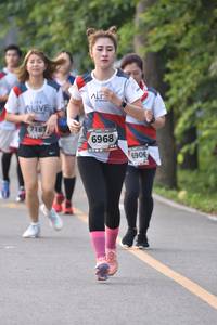 BIB: 7167, 6968, 6906
                            <button type="button" onclick="openModal(6340496)" class="btn btn-primary btn-sm float-right btn-popup" data-toggle="modal" data-target=".modal-high-quality">
                        <i class="fas fa-shopping-cart"></i> Add to Cart
                    </button>
                                            <button type="button" onclick="isThisMe(6340496, true)" class="btn btn-success btn-sm float-right btn-popup btn-isme hidden" data-toggle="tooltip" data-placement="bottom" title="นี่คือรูปของคุณใช่ไหม คลิกที่นี่เพื่อเอาเข้าอัลบั้ม">
                        <i class="fas fa-plus"></i> Add to album
                    </button>
                    <button type="button" onclick="isThisMe(6340496, false)" class="btn btn-warning btn-sm float-right btn-popup btn-isnotme hidden">
                        <i class="fas fa-ban"></i> Remove from album
                    </button>