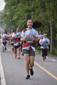 BIB: 6950
                            <button type="button" onclick="openModal(6340030)" class="btn btn-primary btn-sm float-right btn-popup" data-toggle="modal" data-target=".modal-high-quality">
                        <i class="fas fa-shopping-cart"></i> Add to Cart
                    </button>
                                            <button type="button" onclick="isThisMe(6340030, true)" class="btn btn-success btn-sm float-right btn-popup btn-isme hidden" data-toggle="tooltip" data-placement="bottom" title="นี่คือรูปของคุณใช่ไหม คลิกที่นี่เพื่อเอาเข้าอัลบั้ม">
                        <i class="fas fa-plus"></i> Add to album
                    </button>
                    <button type="button" onclick="isThisMe(6340030, false)" class="btn btn-warning btn-sm float-right btn-popup btn-isnotme hidden">
                        <i class="fas fa-ban"></i> Remove from album
                    </button>