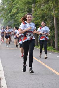 BIB: 6614
                            <button type="button" onclick="openModal(6340709)" class="btn btn-primary btn-sm float-right btn-popup" data-toggle="modal" data-target=".modal-high-quality">
                        <i class="fas fa-shopping-cart"></i> Add to Cart
                    </button>
                                            <button type="button" onclick="isThisMe(6340709, true)" class="btn btn-success btn-sm float-right btn-popup btn-isme hidden" data-toggle="tooltip" data-placement="bottom" title="นี่คือรูปของคุณใช่ไหม คลิกที่นี่เพื่อเอาเข้าอัลบั้ม">
                        <i class="fas fa-plus"></i> Add to album
                    </button>
                    <button type="button" onclick="isThisMe(6340709, false)" class="btn btn-warning btn-sm float-right btn-popup btn-isnotme hidden">
                        <i class="fas fa-ban"></i> Remove from album
                    </button>