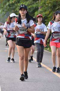 BIB: 7085, 6777, 6939
                            <button type="button" onclick="openModal(6340760)" class="btn btn-primary btn-sm float-right btn-popup" data-toggle="modal" data-target=".modal-high-quality">
                        <i class="fas fa-shopping-cart"></i> Add to Cart
                    </button>
                                            <button type="button" onclick="isThisMe(6340760, true)" class="btn btn-success btn-sm float-right btn-popup btn-isme hidden" data-toggle="tooltip" data-placement="bottom" title="นี่คือรูปของคุณใช่ไหม คลิกที่นี่เพื่อเอาเข้าอัลบั้ม">
                        <i class="fas fa-plus"></i> Add to album
                    </button>
                    <button type="button" onclick="isThisMe(6340760, false)" class="btn btn-warning btn-sm float-right btn-popup btn-isnotme hidden">
                        <i class="fas fa-ban"></i> Remove from album
                    </button>