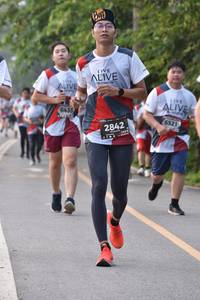 BIB: 6435, 6521, 2842
                            <button type="button" onclick="openModal(6340563)" class="btn btn-primary btn-sm float-right btn-popup" data-toggle="modal" data-target=".modal-high-quality">
                        <i class="fas fa-shopping-cart"></i> Add to Cart
                    </button>
                                            <button type="button" onclick="isThisMe(6340563, true)" class="btn btn-success btn-sm float-right btn-popup btn-isme hidden" data-toggle="tooltip" data-placement="bottom" title="นี่คือรูปของคุณใช่ไหม คลิกที่นี่เพื่อเอาเข้าอัลบั้ม">
                        <i class="fas fa-plus"></i> Add to album
                    </button>
                    <button type="button" onclick="isThisMe(6340563, false)" class="btn btn-warning btn-sm float-right btn-popup btn-isnotme hidden">
                        <i class="fas fa-ban"></i> Remove from album
                    </button>