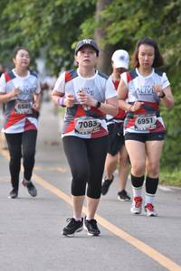 BIB: 6589, 6951, 7083
                            <button type="button" onclick="openModal(6340486)" class="btn btn-primary btn-sm float-right btn-popup" data-toggle="modal" data-target=".modal-high-quality">
                        <i class="fas fa-shopping-cart"></i> Add to Cart
                    </button>
                                            <button type="button" onclick="isThisMe(6340486, true)" class="btn btn-success btn-sm float-right btn-popup btn-isme hidden" data-toggle="tooltip" data-placement="bottom" title="นี่คือรูปของคุณใช่ไหม คลิกที่นี่เพื่อเอาเข้าอัลบั้ม">
                        <i class="fas fa-plus"></i> Add to album
                    </button>
                    <button type="button" onclick="isThisMe(6340486, false)" class="btn btn-warning btn-sm float-right btn-popup btn-isnotme hidden">
                        <i class="fas fa-ban"></i> Remove from album
                    </button>