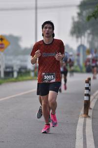 BIB: 3003
                            <button type="button" onclick="openModal(6339994)" class="btn btn-primary btn-sm float-right btn-popup" data-toggle="modal" data-target=".modal-high-quality">
                        <i class="fas fa-shopping-cart"></i> Add to Cart
                    </button>
                                            <button type="button" onclick="isThisMe(6339994, true)" class="btn btn-success btn-sm float-right btn-popup btn-isme hidden" data-toggle="tooltip" data-placement="bottom" title="นี่คือรูปของคุณใช่ไหม คลิกที่นี่เพื่อเอาเข้าอัลบั้ม">
                        <i class="fas fa-plus"></i> Add to album
                    </button>
                    <button type="button" onclick="isThisMe(6339994, false)" class="btn btn-warning btn-sm float-right btn-popup btn-isnotme hidden">
                        <i class="fas fa-ban"></i> Remove from album
                    </button>