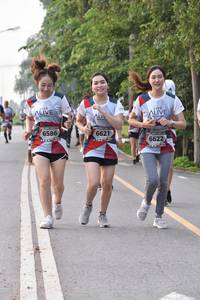 BIB: 6586, 6621, 6622
                            <button type="button" onclick="openModal(6340799)" class="btn btn-primary btn-sm float-right btn-popup" data-toggle="modal" data-target=".modal-high-quality">
                        <i class="fas fa-shopping-cart"></i> Add to Cart
                    </button>
                                            <button type="button" onclick="isThisMe(6340799, true)" class="btn btn-success btn-sm float-right btn-popup btn-isme hidden" data-toggle="tooltip" data-placement="bottom" title="นี่คือรูปของคุณใช่ไหม คลิกที่นี่เพื่อเอาเข้าอัลบั้ม">
                        <i class="fas fa-plus"></i> Add to album
                    </button>
                    <button type="button" onclick="isThisMe(6340799, false)" class="btn btn-warning btn-sm float-right btn-popup btn-isnotme hidden">
                        <i class="fas fa-ban"></i> Remove from album
                    </button>