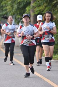 BIB: 6951, 7085
                            <button type="button" onclick="openModal(6340488)" class="btn btn-primary btn-sm float-right btn-popup" data-toggle="modal" data-target=".modal-high-quality">
                        <i class="fas fa-shopping-cart"></i> Add to Cart
                    </button>
                                            <button type="button" onclick="isThisMe(6340488, true)" class="btn btn-success btn-sm float-right btn-popup btn-isme hidden" data-toggle="tooltip" data-placement="bottom" title="นี่คือรูปของคุณใช่ไหม คลิกที่นี่เพื่อเอาเข้าอัลบั้ม">
                        <i class="fas fa-plus"></i> Add to album
                    </button>
                    <button type="button" onclick="isThisMe(6340488, false)" class="btn btn-warning btn-sm float-right btn-popup btn-isnotme hidden">
                        <i class="fas fa-ban"></i> Remove from album
                    </button>