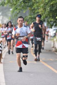 BIB: 2190
                            <button type="button" onclick="openModal(6340781)" class="btn btn-primary btn-sm float-right btn-popup" data-toggle="modal" data-target=".modal-high-quality">
                        <i class="fas fa-shopping-cart"></i> Add to Cart
                    </button>
                                            <button type="button" onclick="isThisMe(6340781, true)" class="btn btn-success btn-sm float-right btn-popup btn-isme hidden" data-toggle="tooltip" data-placement="bottom" title="นี่คือรูปของคุณใช่ไหม คลิกที่นี่เพื่อเอาเข้าอัลบั้ม">
                        <i class="fas fa-plus"></i> Add to album
                    </button>
                    <button type="button" onclick="isThisMe(6340781, false)" class="btn btn-warning btn-sm float-right btn-popup btn-isnotme hidden">
                        <i class="fas fa-ban"></i> Remove from album
                    </button>