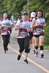 BIB: 6951, 7083
                            <button type="button" onclick="openModal(6340485)" class="btn btn-primary btn-sm float-right btn-popup" data-toggle="modal" data-target=".modal-high-quality">
                        <i class="fas fa-shopping-cart"></i> Add to Cart
                    </button>
                                            <button type="button" onclick="isThisMe(6340485, true)" class="btn btn-success btn-sm float-right btn-popup btn-isme hidden" data-toggle="tooltip" data-placement="bottom" title="นี่คือรูปของคุณใช่ไหม คลิกที่นี่เพื่อเอาเข้าอัลบั้ม">
                        <i class="fas fa-plus"></i> Add to album
                    </button>
                    <button type="button" onclick="isThisMe(6340485, false)" class="btn btn-warning btn-sm float-right btn-popup btn-isnotme hidden">
                        <i class="fas fa-ban"></i> Remove from album
                    </button>