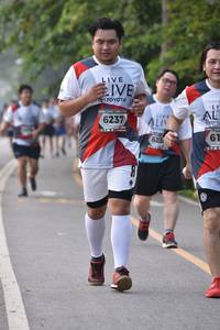 BIB: 6237
                            <button type="button" onclick="openModal(6340400)" class="btn btn-primary btn-sm float-right btn-popup" data-toggle="modal" data-target=".modal-high-quality">
                        <i class="fas fa-shopping-cart"></i> Add to Cart
                    </button>
                                            <button type="button" onclick="isThisMe(6340400, true)" class="btn btn-success btn-sm float-right btn-popup btn-isme hidden" data-toggle="tooltip" data-placement="bottom" title="นี่คือรูปของคุณใช่ไหม คลิกที่นี่เพื่อเอาเข้าอัลบั้ม">
                        <i class="fas fa-plus"></i> Add to album
                    </button>
                    <button type="button" onclick="isThisMe(6340400, false)" class="btn btn-warning btn-sm float-right btn-popup btn-isnotme hidden">
                        <i class="fas fa-ban"></i> Remove from album
                    </button>