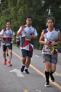 BIB: 6431, 2457, 6570
                            <button type="button" onclick="openModal(6340053)" class="btn btn-primary btn-sm float-right btn-popup" data-toggle="modal" data-target=".modal-high-quality">
                        <i class="fas fa-shopping-cart"></i> Add to Cart
                    </button>
                                            <button type="button" onclick="isThisMe(6340053, true)" class="btn btn-success btn-sm float-right btn-popup btn-isme hidden" data-toggle="tooltip" data-placement="bottom" title="นี่คือรูปของคุณใช่ไหม คลิกที่นี่เพื่อเอาเข้าอัลบั้ม">
                        <i class="fas fa-plus"></i> Add to album
                    </button>
                    <button type="button" onclick="isThisMe(6340053, false)" class="btn btn-warning btn-sm float-right btn-popup btn-isnotme hidden">
                        <i class="fas fa-ban"></i> Remove from album
                    </button>