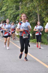 BIB: 6571
                            <button type="button" onclick="openModal(6340657)" class="btn btn-primary btn-sm float-right btn-popup" data-toggle="modal" data-target=".modal-high-quality">
                        <i class="fas fa-shopping-cart"></i> Add to Cart
                    </button>
                                            <button type="button" onclick="isThisMe(6340657, true)" class="btn btn-success btn-sm float-right btn-popup btn-isme hidden" data-toggle="tooltip" data-placement="bottom" title="นี่คือรูปของคุณใช่ไหม คลิกที่นี่เพื่อเอาเข้าอัลบั้ม">
                        <i class="fas fa-plus"></i> Add to album
                    </button>
                    <button type="button" onclick="isThisMe(6340657, false)" class="btn btn-warning btn-sm float-right btn-popup btn-isnotme hidden">
                        <i class="fas fa-ban"></i> Remove from album
                    </button>