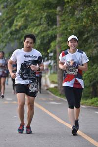 BIB: 6282, 616
                            <button type="button" onclick="openModal(6339946)" class="btn btn-primary btn-sm float-right btn-popup" data-toggle="modal" data-target=".modal-high-quality">
                        <i class="fas fa-shopping-cart"></i> Add to Cart
                    </button>
                                            <button type="button" onclick="isThisMe(6339946, true)" class="btn btn-success btn-sm float-right btn-popup btn-isme hidden" data-toggle="tooltip" data-placement="bottom" title="นี่คือรูปของคุณใช่ไหม คลิกที่นี่เพื่อเอาเข้าอัลบั้ม">
                        <i class="fas fa-plus"></i> Add to album
                    </button>
                    <button type="button" onclick="isThisMe(6339946, false)" class="btn btn-warning btn-sm float-right btn-popup btn-isnotme hidden">
                        <i class="fas fa-ban"></i> Remove from album
                    </button>