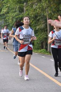 BIB: 5585, 7088
                            <button type="button" onclick="openModal(6340663)" class="btn btn-primary btn-sm float-right btn-popup" data-toggle="modal" data-target=".modal-high-quality">
                        <i class="fas fa-shopping-cart"></i> Add to Cart
                    </button>
                                            <button type="button" onclick="isThisMe(6340663, true)" class="btn btn-success btn-sm float-right btn-popup btn-isme hidden" data-toggle="tooltip" data-placement="bottom" title="นี่คือรูปของคุณใช่ไหม คลิกที่นี่เพื่อเอาเข้าอัลบั้ม">
                        <i class="fas fa-plus"></i> Add to album
                    </button>
                    <button type="button" onclick="isThisMe(6340663, false)" class="btn btn-warning btn-sm float-right btn-popup btn-isnotme hidden">
                        <i class="fas fa-ban"></i> Remove from album
                    </button>