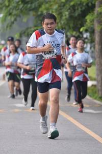 BIB: 6497
                            <button type="button" onclick="openModal(6340303)" class="btn btn-primary btn-sm float-right btn-popup" data-toggle="modal" data-target=".modal-high-quality">
                        <i class="fas fa-shopping-cart"></i> Add to Cart
                    </button>
                                            <button type="button" onclick="isThisMe(6340303, true)" class="btn btn-success btn-sm float-right btn-popup btn-isme hidden" data-toggle="tooltip" data-placement="bottom" title="นี่คือรูปของคุณใช่ไหม คลิกที่นี่เพื่อเอาเข้าอัลบั้ม">
                        <i class="fas fa-plus"></i> Add to album
                    </button>
                    <button type="button" onclick="isThisMe(6340303, false)" class="btn btn-warning btn-sm float-right btn-popup btn-isnotme hidden">
                        <i class="fas fa-ban"></i> Remove from album
                    </button>