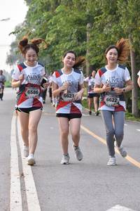 BIB: 6586, 6621, 6622
                            <button type="button" onclick="openModal(6340803)" class="btn btn-primary btn-sm float-right btn-popup" data-toggle="modal" data-target=".modal-high-quality">
                        <i class="fas fa-shopping-cart"></i> Add to Cart
                    </button>
                                            <button type="button" onclick="isThisMe(6340803, true)" class="btn btn-success btn-sm float-right btn-popup btn-isme hidden" data-toggle="tooltip" data-placement="bottom" title="นี่คือรูปของคุณใช่ไหม คลิกที่นี่เพื่อเอาเข้าอัลบั้ม">
                        <i class="fas fa-plus"></i> Add to album
                    </button>
                    <button type="button" onclick="isThisMe(6340803, false)" class="btn btn-warning btn-sm float-right btn-popup btn-isnotme hidden">
                        <i class="fas fa-ban"></i> Remove from album
                    </button>