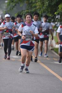 BIB: 6567, 6575
                            <button type="button" onclick="openModal(6340083)" class="btn btn-primary btn-sm float-right btn-popup" data-toggle="modal" data-target=".modal-high-quality">
                        <i class="fas fa-shopping-cart"></i> Add to Cart
                    </button>
                                            <button type="button" onclick="isThisMe(6340083, true)" class="btn btn-success btn-sm float-right btn-popup btn-isme hidden" data-toggle="tooltip" data-placement="bottom" title="นี่คือรูปของคุณใช่ไหม คลิกที่นี่เพื่อเอาเข้าอัลบั้ม">
                        <i class="fas fa-plus"></i> Add to album
                    </button>
                    <button type="button" onclick="isThisMe(6340083, false)" class="btn btn-warning btn-sm float-right btn-popup btn-isnotme hidden">
                        <i class="fas fa-ban"></i> Remove from album
                    </button>