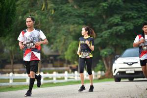 BIB: 2189, 281, 2025
                            <button type="button" onclick="openModal(6338825)" class="btn btn-primary btn-sm float-right btn-popup" data-toggle="modal" data-target=".modal-high-quality">
                        <i class="fas fa-shopping-cart"></i> Add to Cart
                    </button>
                                            <button type="button" onclick="isThisMe(6338825, true)" class="btn btn-success btn-sm float-right btn-popup btn-isme hidden" data-toggle="tooltip" data-placement="bottom" title="นี่คือรูปของคุณใช่ไหม คลิกที่นี่เพื่อเอาเข้าอัลบั้ม">
                        <i class="fas fa-plus"></i> Add to album
                    </button>
                    <button type="button" onclick="isThisMe(6338825, false)" class="btn btn-warning btn-sm float-right btn-popup btn-isnotme hidden">
                        <i class="fas fa-ban"></i> Remove from album
                    </button>