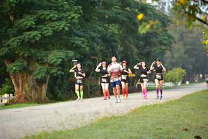 BIB: 
                            <button type="button" onclick="openModal(6339423)" class="btn btn-primary btn-sm float-right btn-popup" data-toggle="modal" data-target=".modal-high-quality">
                        <i class="fas fa-shopping-cart"></i> Add to Cart
                    </button>
                                            <button type="button" onclick="isThisMe(6339423, true)" class="btn btn-success btn-sm float-right btn-popup btn-isme hidden" data-toggle="tooltip" data-placement="bottom" title="นี่คือรูปของคุณใช่ไหม คลิกที่นี่เพื่อเอาเข้าอัลบั้ม">
                        <i class="fas fa-plus"></i> Add to album
                    </button>
                    <button type="button" onclick="isThisMe(6339423, false)" class="btn btn-warning btn-sm float-right btn-popup btn-isnotme hidden">
                        <i class="fas fa-ban"></i> Remove from album
                    </button>