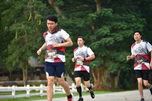 BIB: 2847, 303, 3145
                            <button type="button" onclick="openModal(6339167)" class="btn btn-primary btn-sm float-right btn-popup" data-toggle="modal" data-target=".modal-high-quality">
                        <i class="fas fa-shopping-cart"></i> Add to Cart
                    </button>
                                            <button type="button" onclick="isThisMe(6339167, true)" class="btn btn-success btn-sm float-right btn-popup btn-isme hidden" data-toggle="tooltip" data-placement="bottom" title="นี่คือรูปของคุณใช่ไหม คลิกที่นี่เพื่อเอาเข้าอัลบั้ม">
                        <i class="fas fa-plus"></i> Add to album
                    </button>
                    <button type="button" onclick="isThisMe(6339167, false)" class="btn btn-warning btn-sm float-right btn-popup btn-isnotme hidden">
                        <i class="fas fa-ban"></i> Remove from album
                    </button>